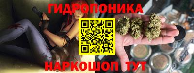 мяу мяу мука Владикавказ