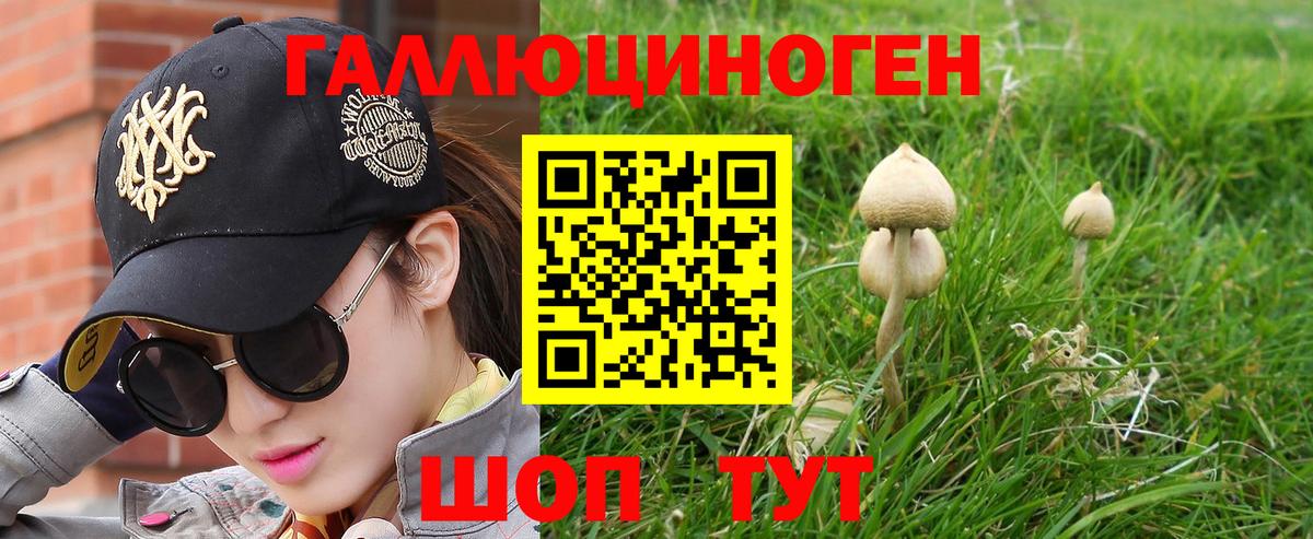 Псилоцибиновые грибы Psilocybine cubensis  Вход с VPN  Горячий Ключ 
