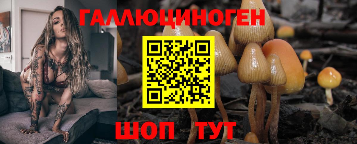 Галлюциногенные грибы GOLDEN TEACHER Горячий Ключ